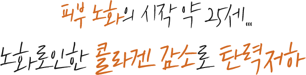 피부 노화의 시작 약 25세... 노화로인한 콜라겐 감소로 탄력저하